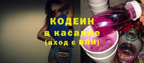 прущие грибы Бородино