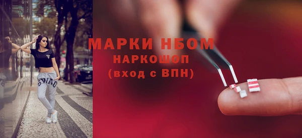 прущие грибы Бородино