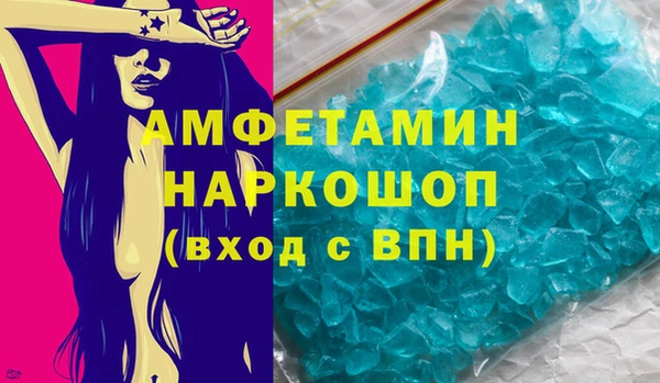 прущие грибы Бородино