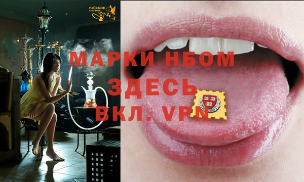 прущие грибы Бородино