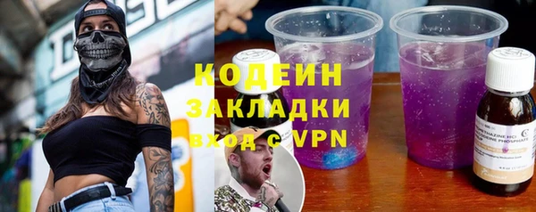 прущие грибы Бородино