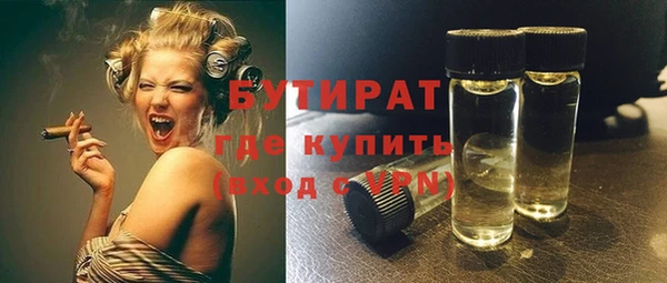 прущие грибы Бородино