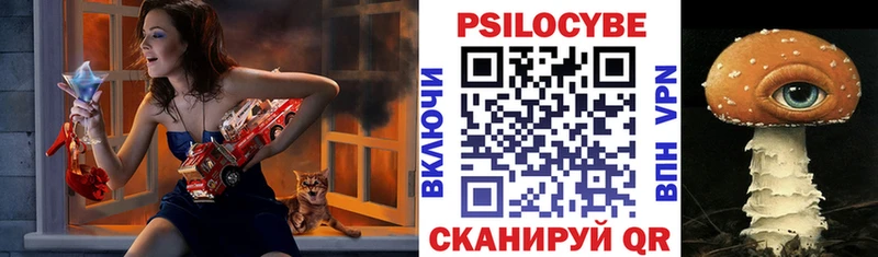 Псилоцибиновые грибы Psilocybe  Клинцы 